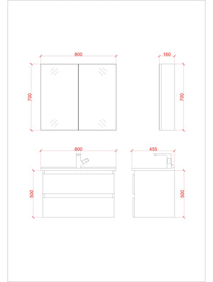 ALONI MIRROR CABINET COLOR ALUMINUM 80X70CM