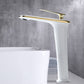 Single-Handle Bathroom Sink Faucet with Pop-Up Overflow & Basin Faucet